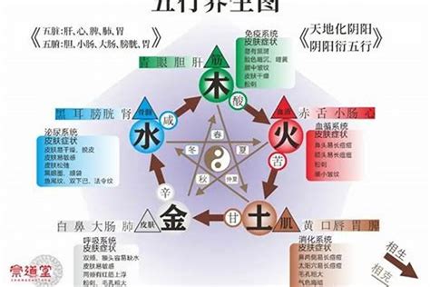 五行補木|【5行缺木】五行缺木？影響性格和命運，別擔心！教你補救與注。